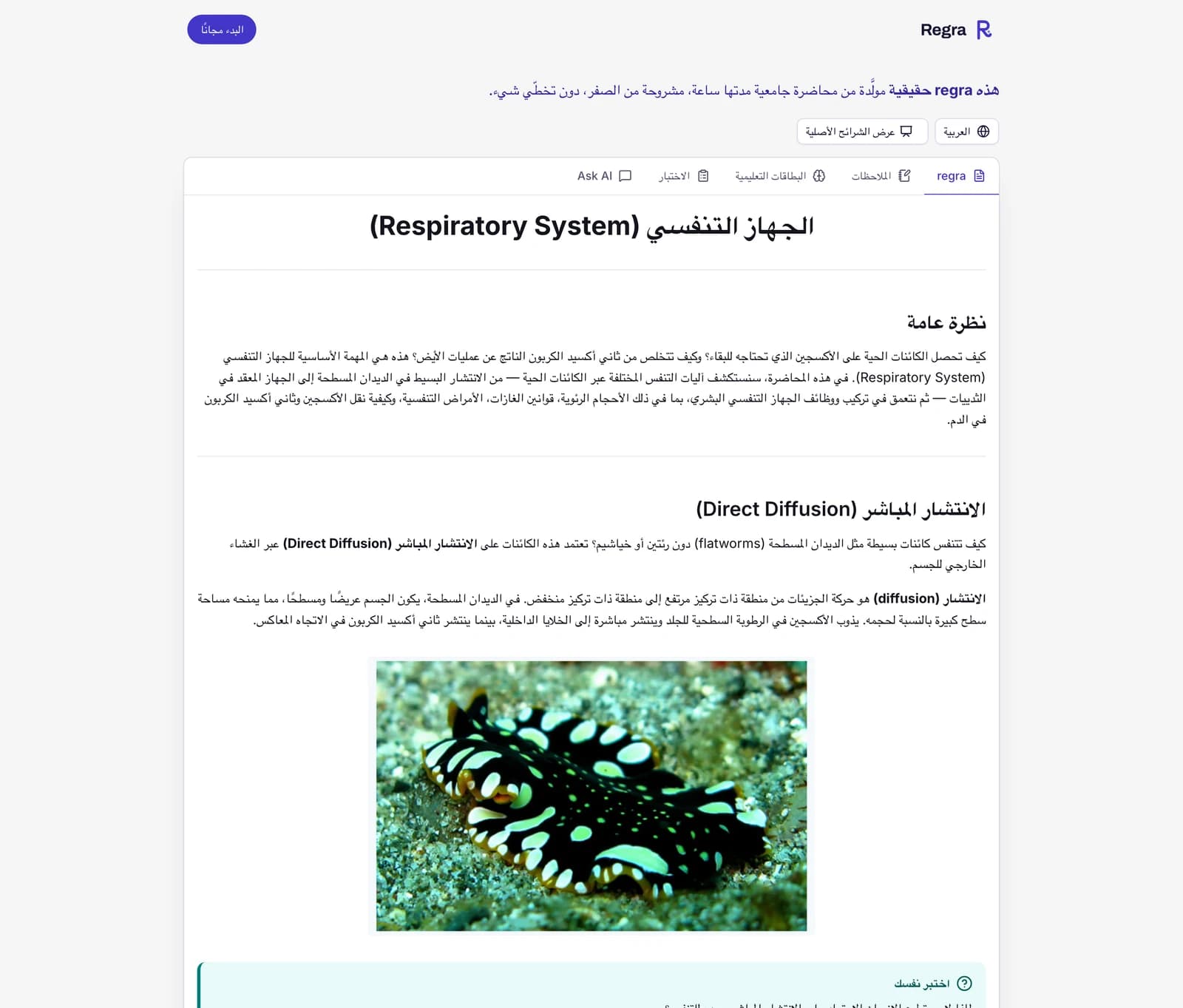 regra التجريبية مفتوحة على تبويب regra: محاضرة الجهاز التنفسي مشروحة خطوة بخطوة من الصفر، وقائمة لقراءتها بلغة أخرى، وزر لعرض الشرائح الأصلية، وتبويبات الملاحظات والبطاقات التعليمية والاختبار، إضافةً إلى تبويب Ask AI.