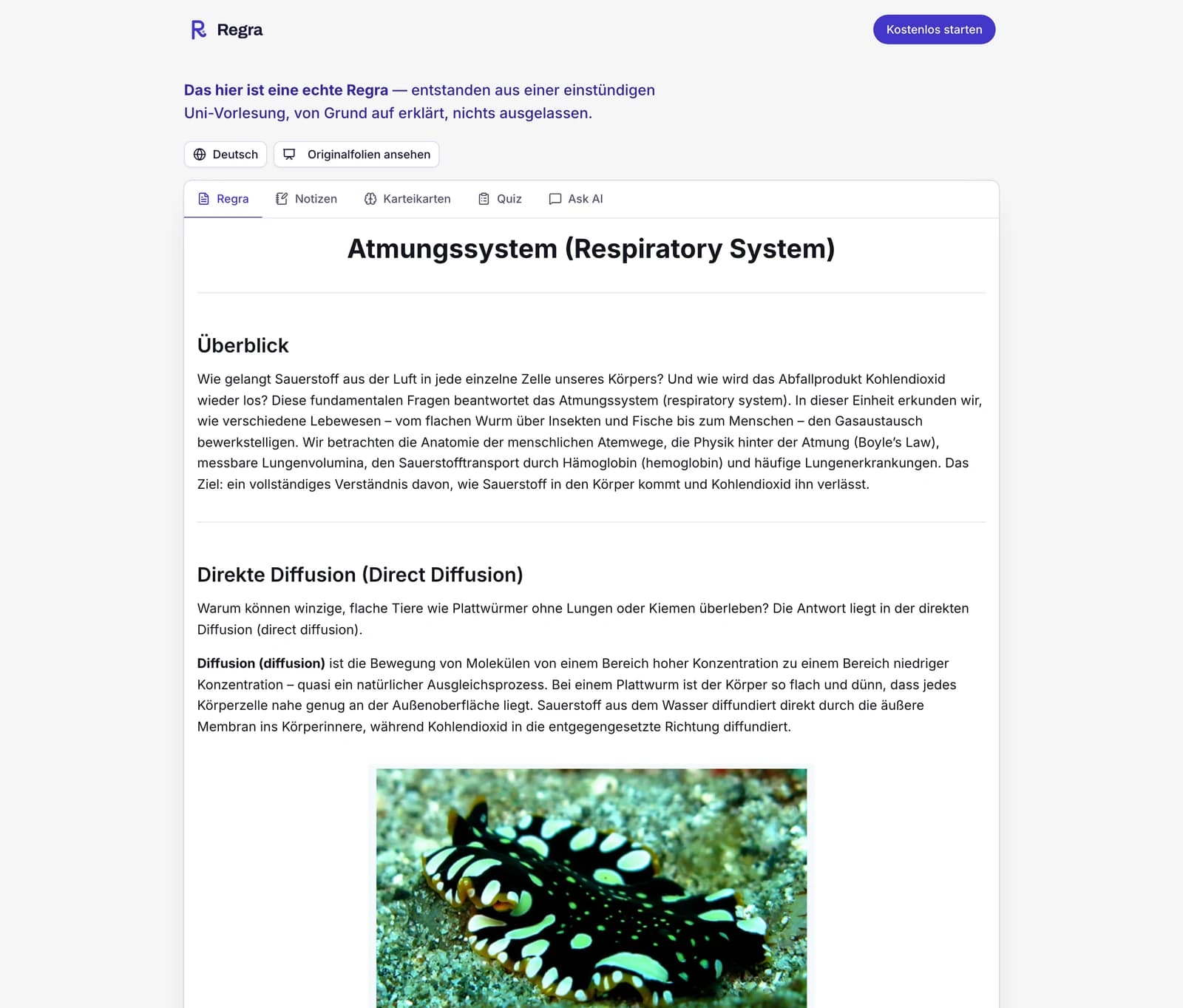 Die Beispiel-Regra, geöffnet im Tab „Regra“: das Atmungssystem, Schritt für Schritt von Grund auf erklärt. Dazu ein Menü, um sie in einer anderen Sprache zu lesen, der Button „Originalfolien ansehen“ und Tabs für Notizen, Karteikarten, Quiz und Ask AI.
