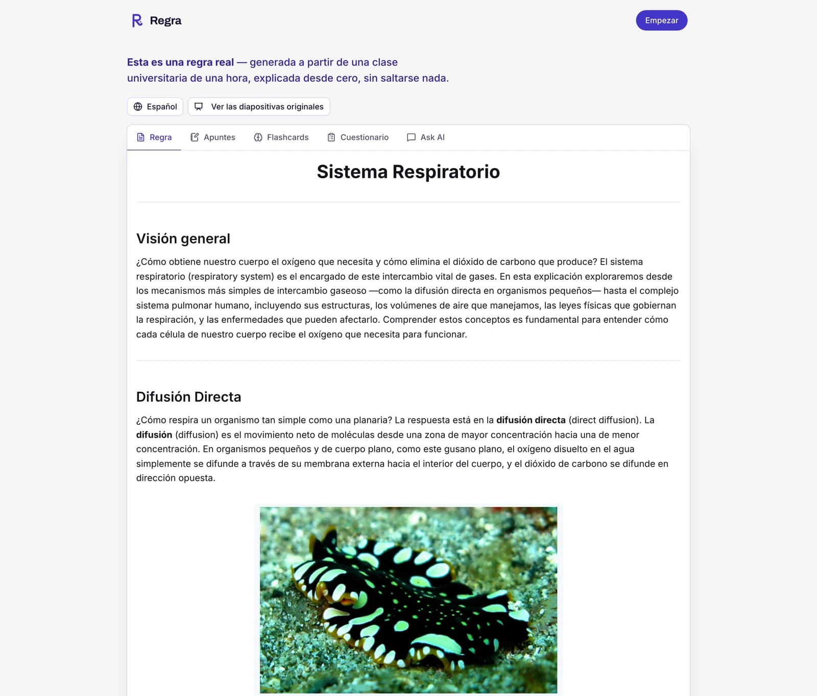 La regra de ejemplo, abierta en la pestaña Regra: la clase sobre el sistema respiratorio explicada paso a paso desde cero, un menú para leerla en otro idioma, un botón para ver las diapositivas originales y las pestañas Apuntes, Flashcards, Cuestionario y Ask AI.