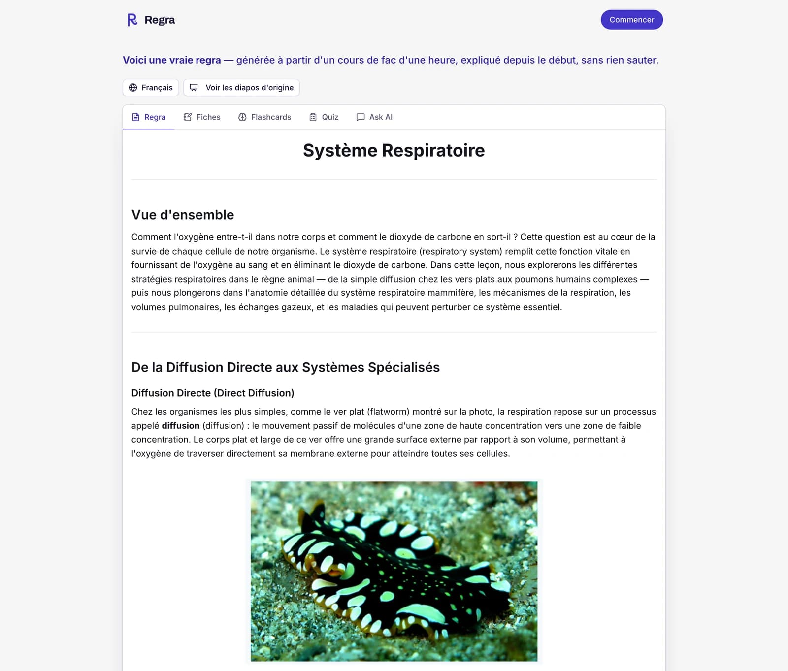 La regra d'exemple, ouverte sur l'onglet regra : le cours sur le système respiratoire expliqué étape par étape en partant de zéro, un menu pour le lire dans une autre langue, un bouton pour voir les diapos d'origine, et des onglets Fiches, Flashcards, Quiz et Ask AI.