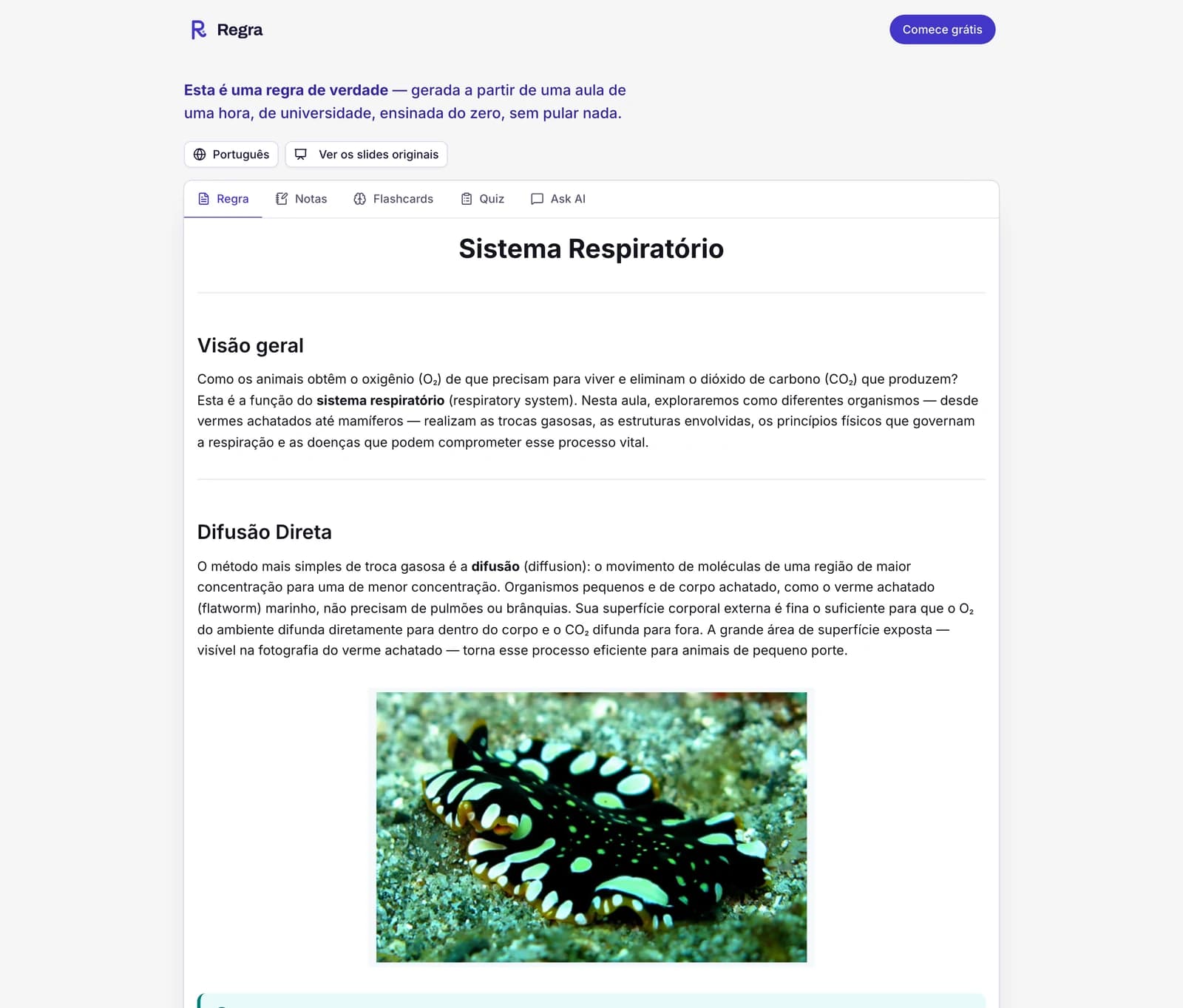 A regra de exemplo, aberta na aba Regra: a aula sobre o sistema respiratório ensinada do zero e passo a passo, um menu para ler em outro idioma, um botão para ver os slides originais e abas de Notas, Flashcards, Quiz e Ask AI.