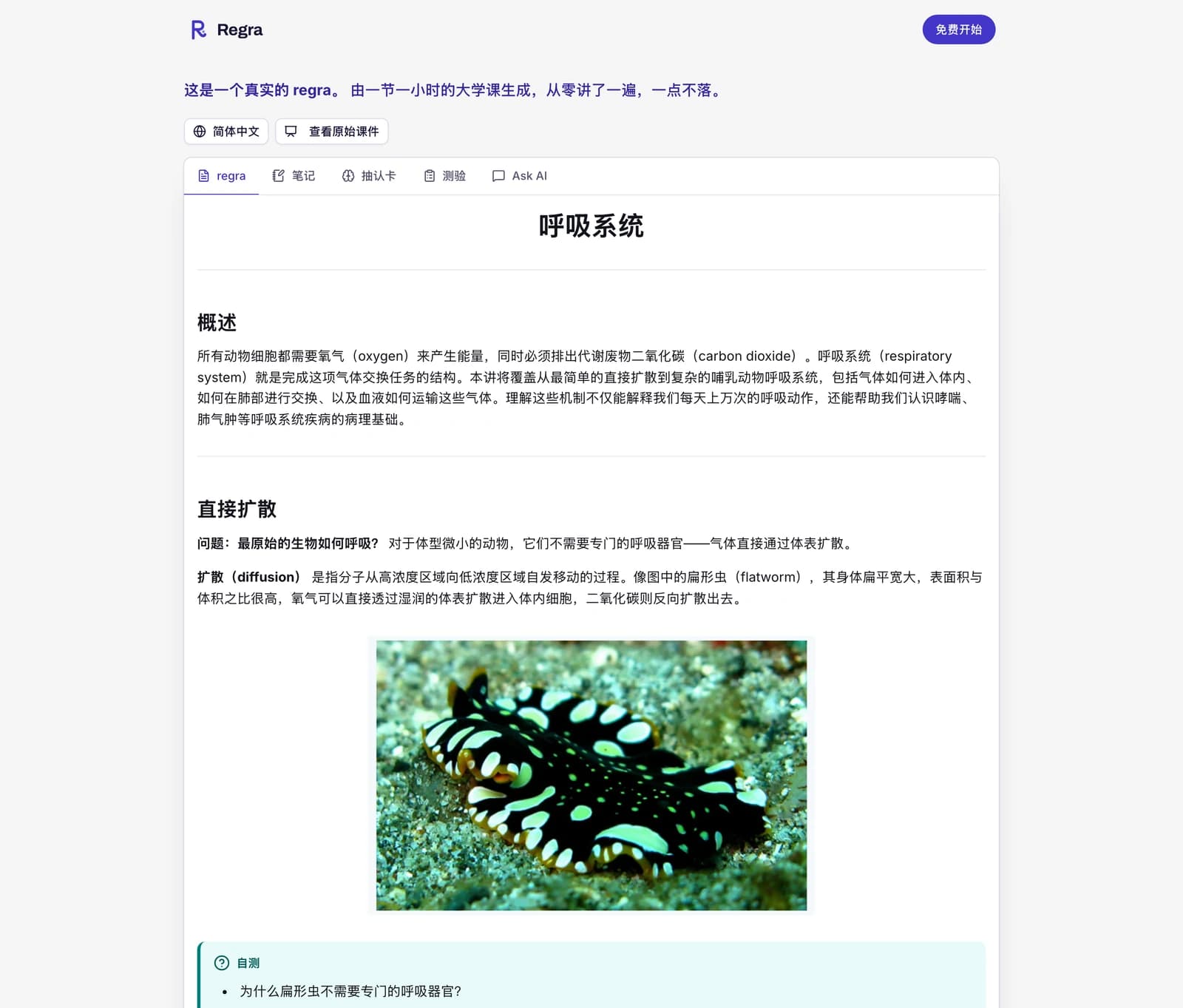 示例 regra,打开的是 regra 标签页:呼吸系统这节课从零讲起,一步一步展开;可以从菜单里换一种语言阅读;有“查看原始课件”按钮;还有笔记、抽认卡、测验和 Ask AI 标签页。